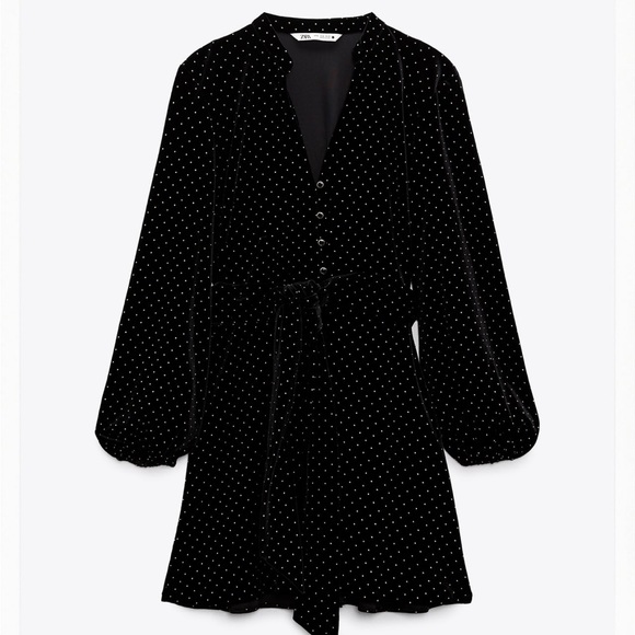 Zara Velvet Dress - Picture 3 of 3